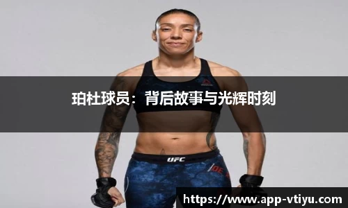 v体育官方网站